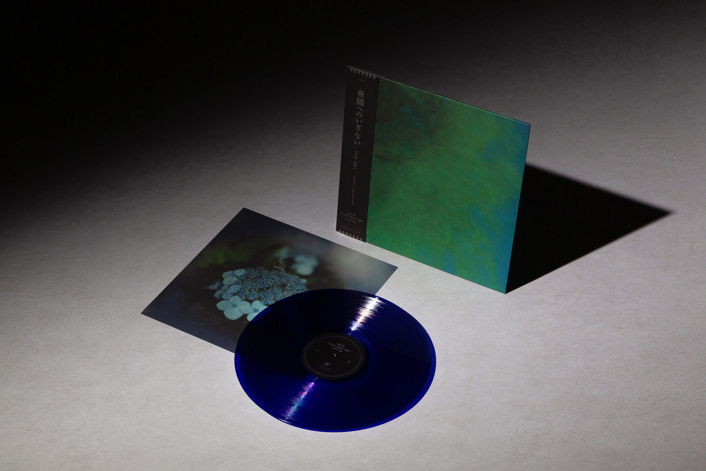 Hiroshi Ebina - Into the Darkness of the Night