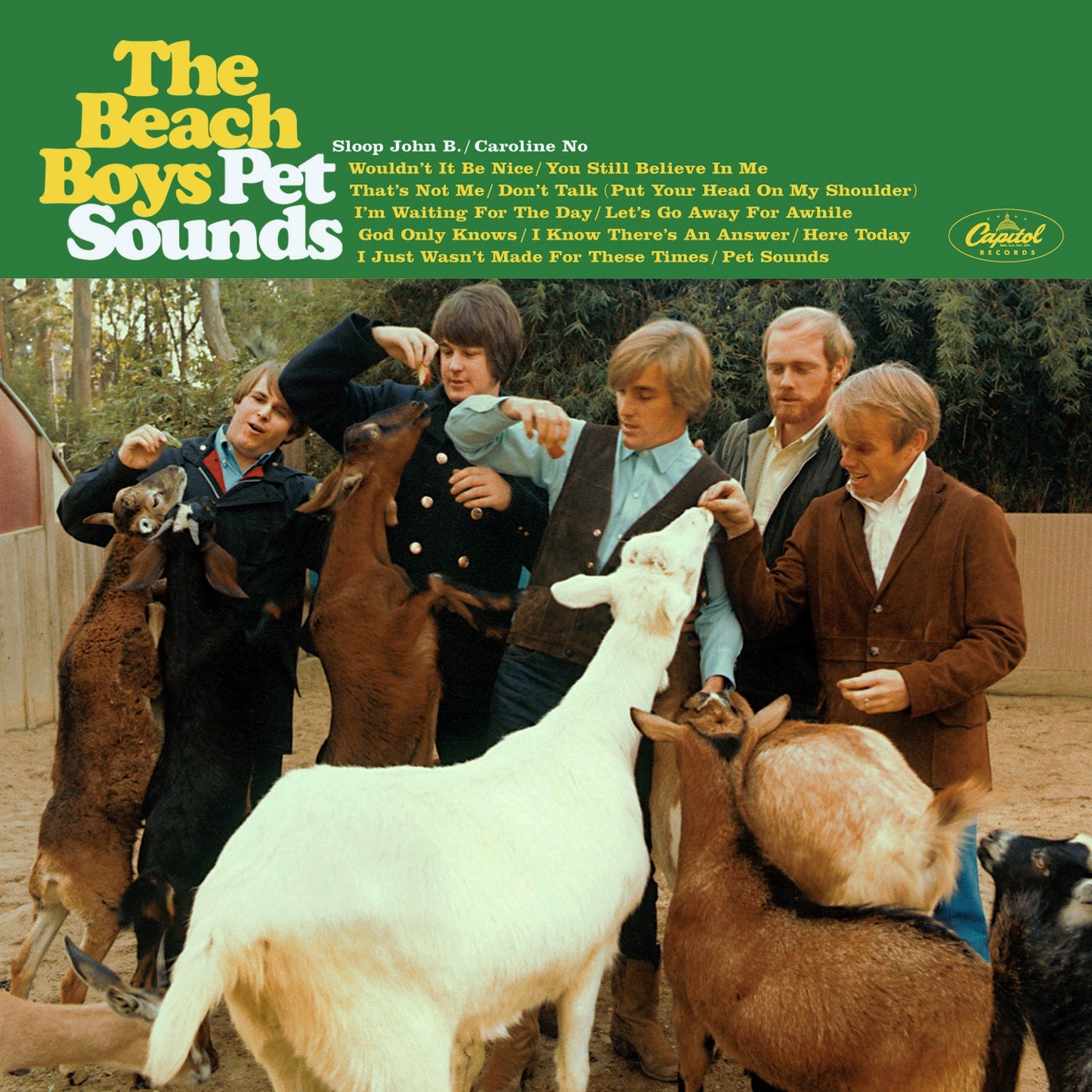 The Beach Boys – Pet Sounds (Analogue Productions Reissue)