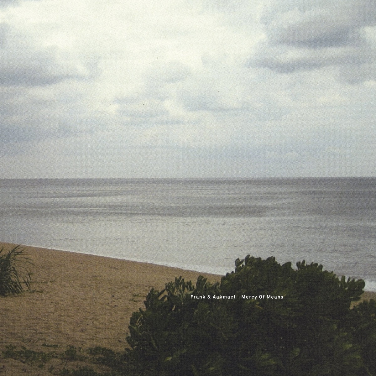 Frank & Aakmael - Mercy Of Means