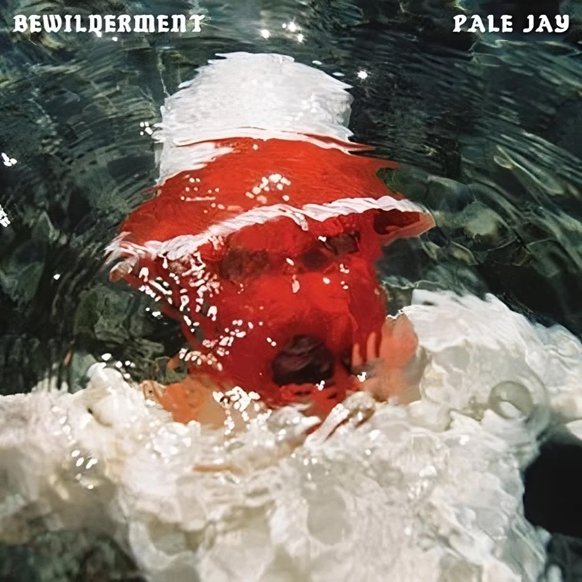 Pale Jay – Bewilderment