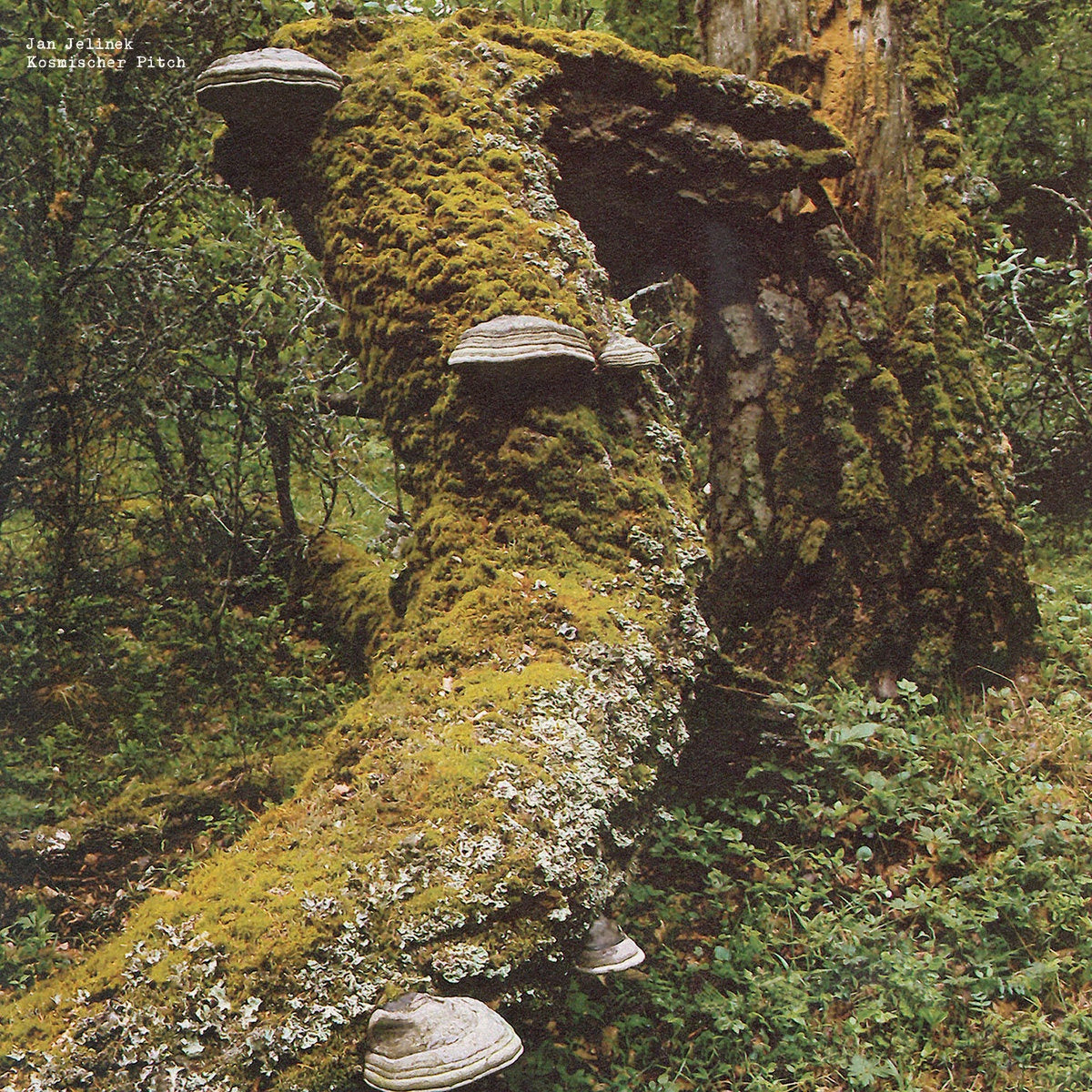 Jan Jelinek - Kosmischer (20th Anniversary Reissue)