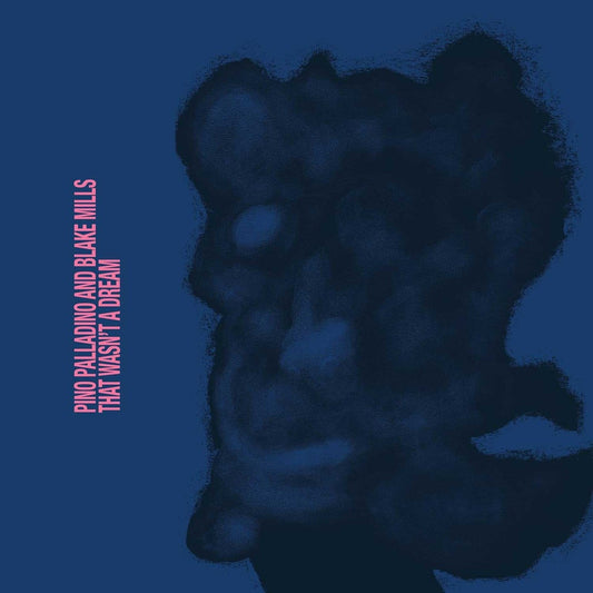 Pino Palladino, Blake Mills - That Wasn't A Dream