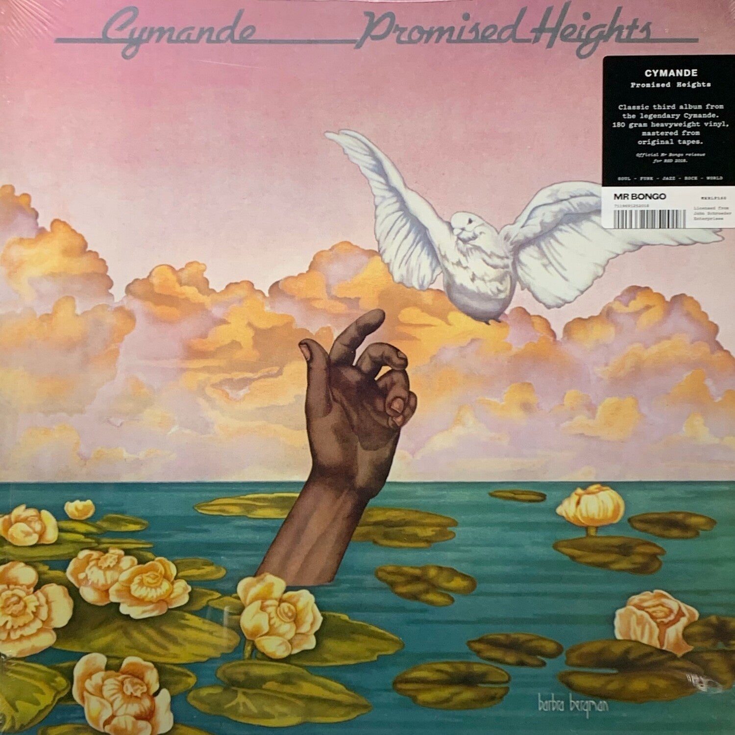 Cymande – Promised Heights - Vinyl Records Singapore | Buy Online | The  Analog Vault