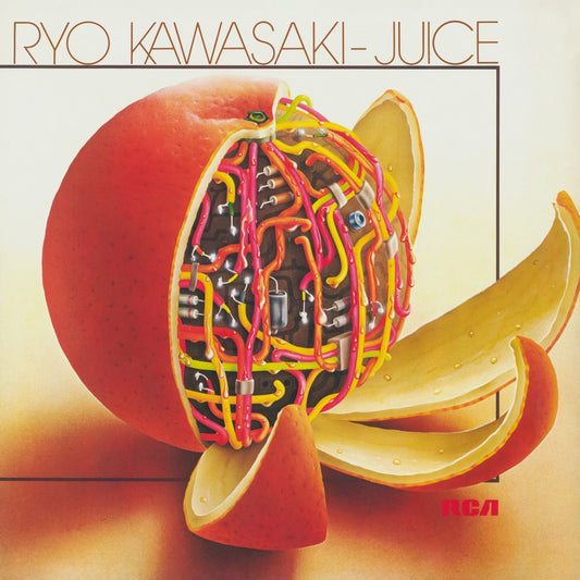 Ryo Kawasaki – Juice