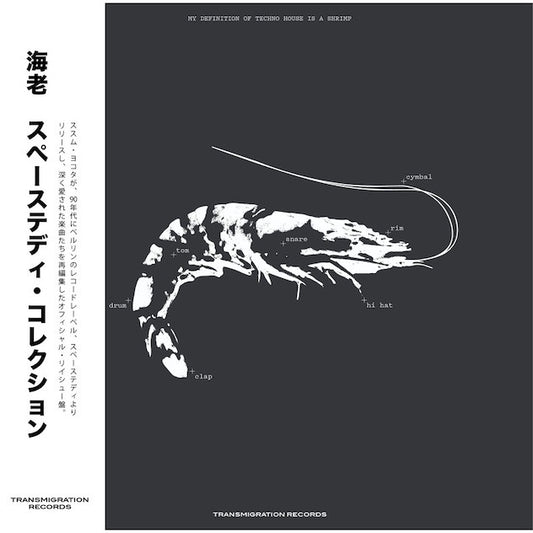 Ebi – Space Teddy Collection (Susumu Yokota)