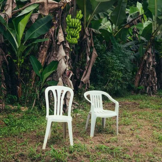 Bad Bunny – Debí Tirar Más Fotos (Coloured Vinyl)