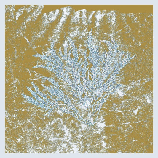 Huerco S. -  For Those Of You Who Have Never (And Also Those Who Have) (2025 Repress)