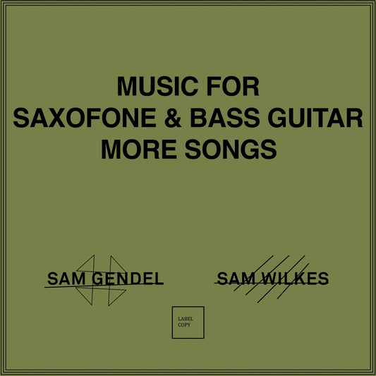 Sam Gendel & Sam Wilkes – Music For Saxofone & Bass Guitar More Songs