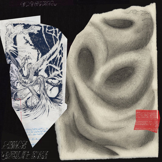 Earth And Bones - Shoals