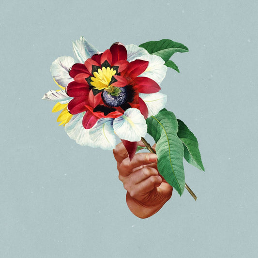 Maribou State - Kingdoms In Colour