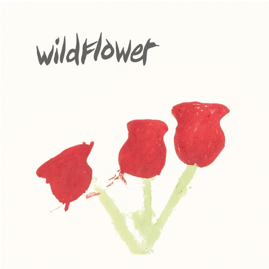 Wildflower ‎– Better Times