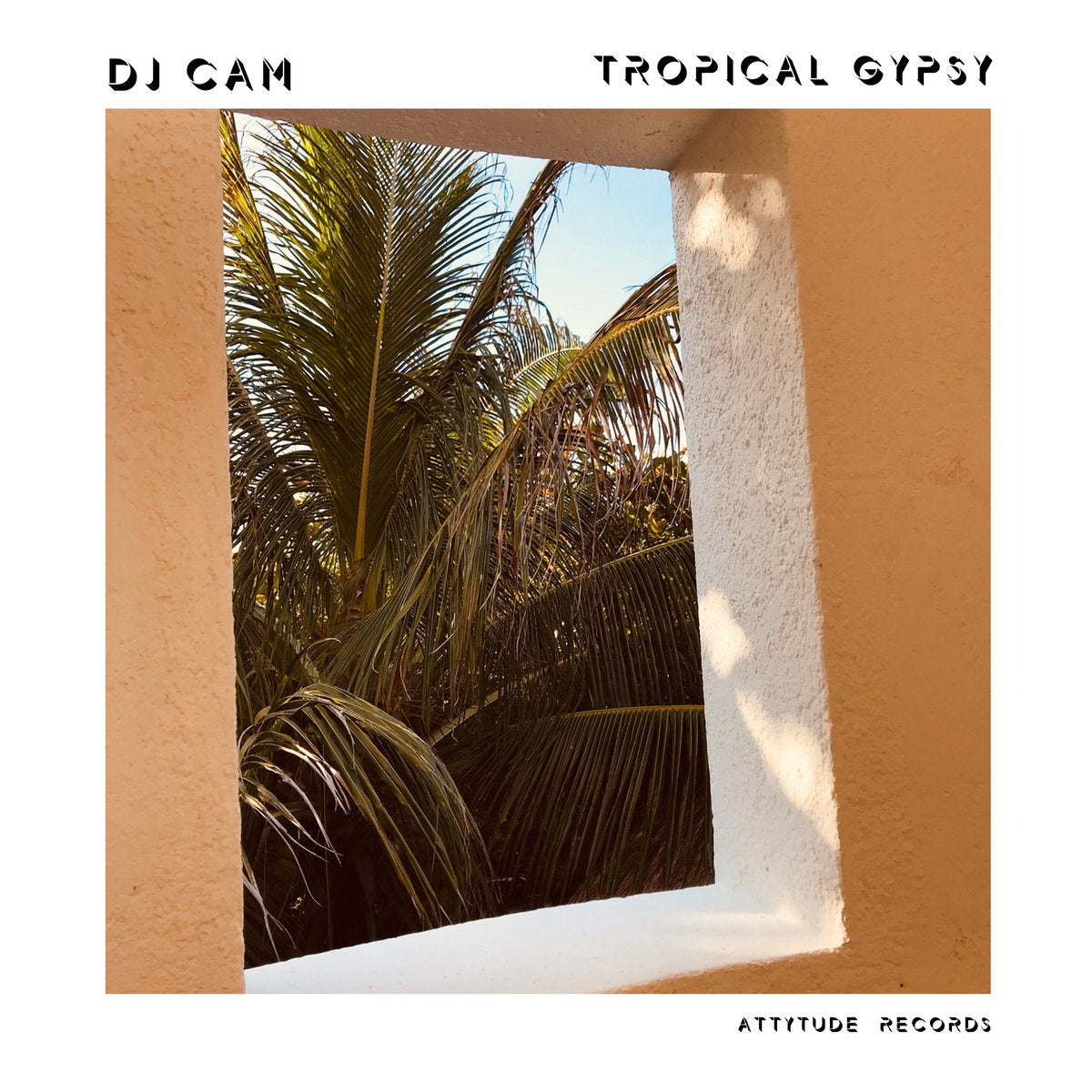 DJ Cam – Tropical Gypsy