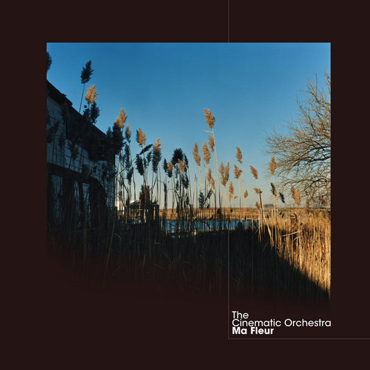 The Cinematic Orchestra – Ma Fleur (2021 Reissue)