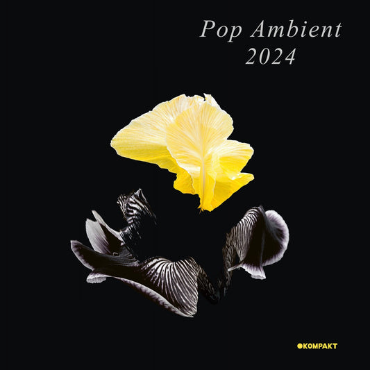 Various – Pop Ambient 2024