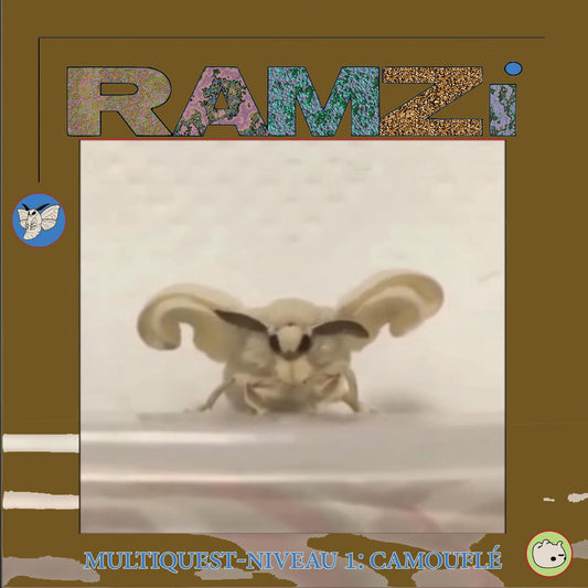 Ramzi ‎– Multiquest Niveau 1: Camouflé