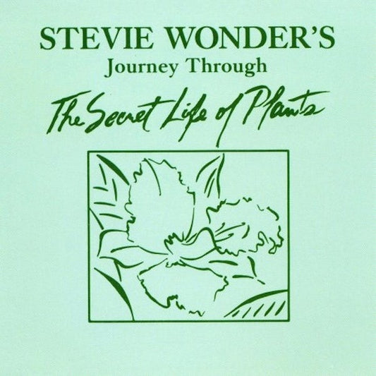 Stevie Wonder - Journey Through The Secret Life of Plants
