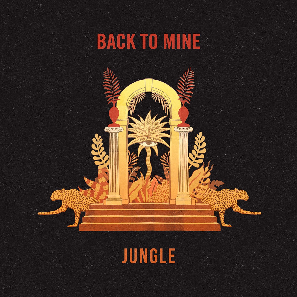 Jungle ‎– Back To Mine