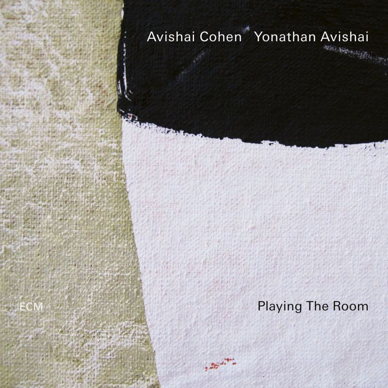 Avishai Cohen /  Yonathan Avishai ‎– Playing The Room